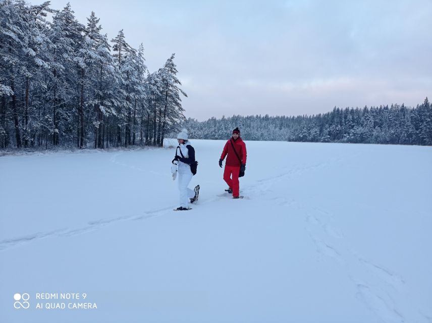 From Helsinki: Nuuksio National Park Hiking Tour with Food - Key points to know before booking