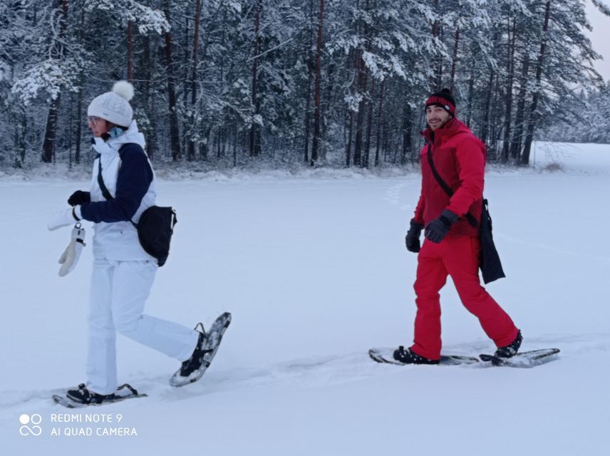From Helsinki: Nuuksio National Park Hiking Tour with Food - Walking the Taiga trails