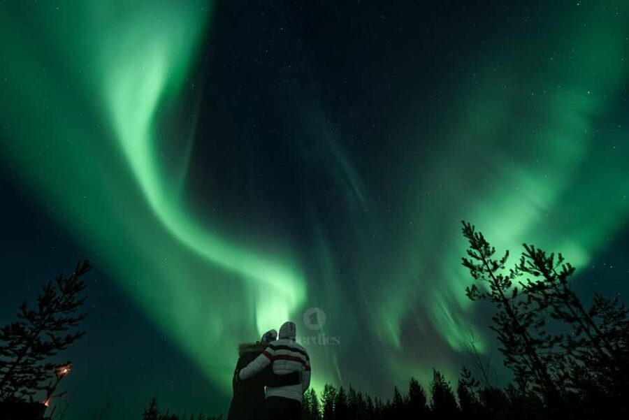 From Rovaniemi: Aurora Borealis Hunting with Photos & Videos - The return to Rovaniemi