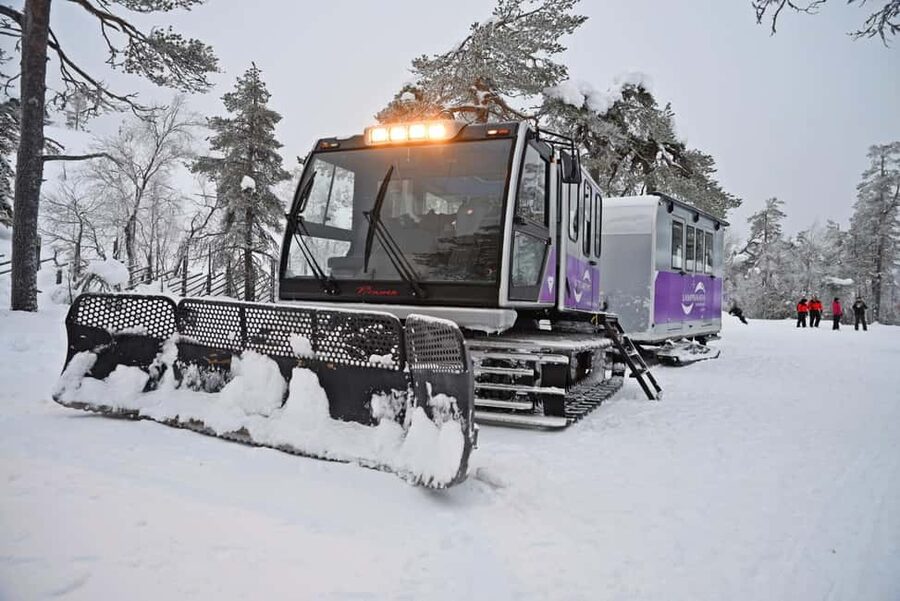 From Rovaniemi: EXCURSION TO THE AMETHYST MINE IN LUOSTO - Guides Andrei, Pascal, and Dima