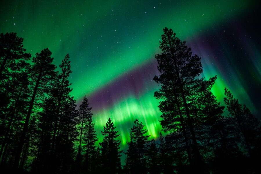 From Rovaniemi: Family-Friendly Northern Lights Tour - Key points to know before booking