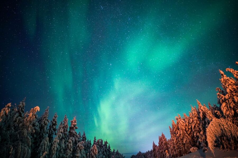 From Rovaniemi: Family-Friendly Northern Lights Tour - Why this tour works well for families