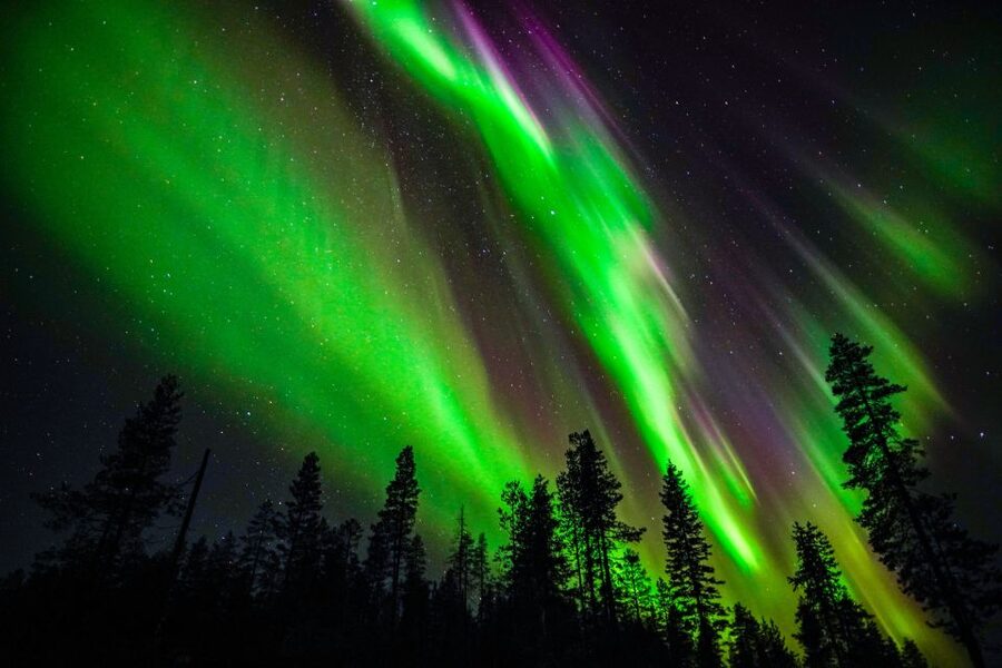 From Rovaniemi: Family-Friendly Northern Lights Tour - Getting dressed for the Lapland cold