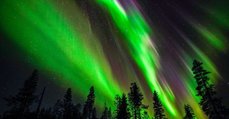 From Rovaniemi: Family-Friendly Northern Lights Tour - The teepee fire, sausages, and hot drinks