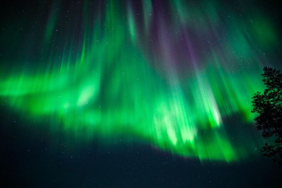 From Rovaniemi: Family-Friendly Northern Lights Tour - Guides make or break the evening