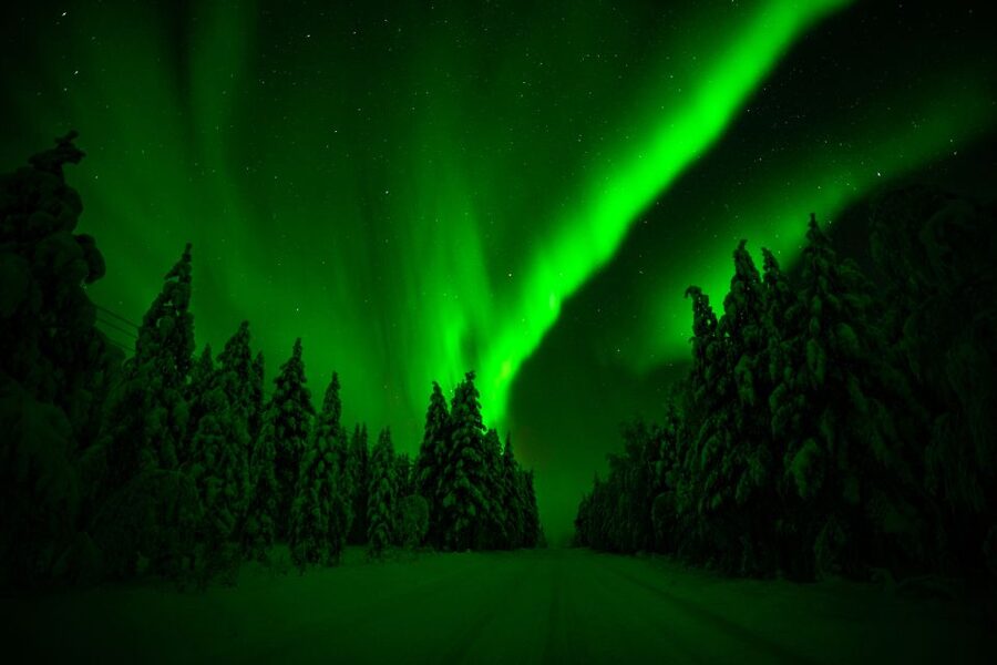 From Rovaniemi: Family-Friendly Northern Lights Tour - Is $123 a fair price?