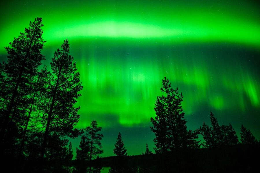 From Rovaniemi: Family-Friendly Northern Lights Tour - Who should book this three-hour outing?