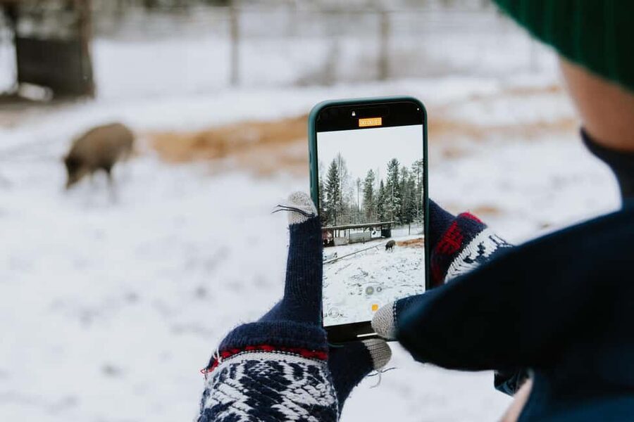 From Rovaniemi: Family Friendly Visit to Ranua Wildlife Park - Walking through Ranua Wildlife Park