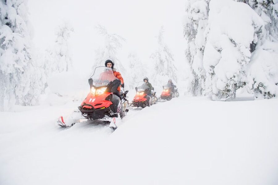 From Rovaniemi: Guided Lapland Snowmobile Adventure - Key points to know before you book