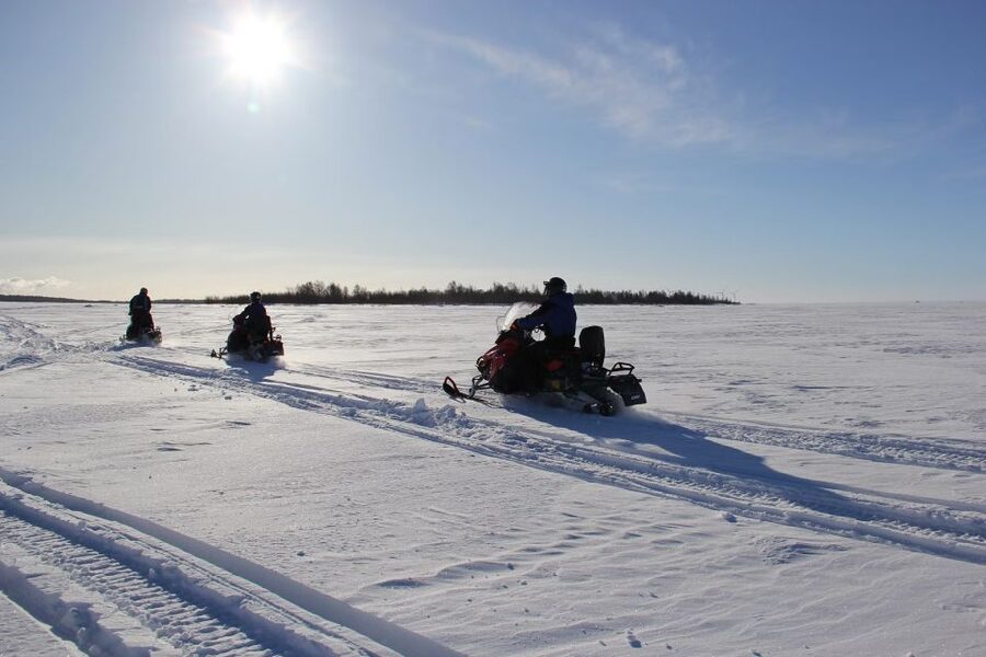From Rovaniemi: Guided Lapland Snowmobile Adventure - Is $194 good value?