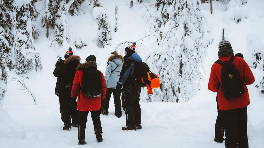 From Rovaniemi: Korouoma & Auttiköngäs Frozen Waterfalls - Small-group guiding makes a real difference
