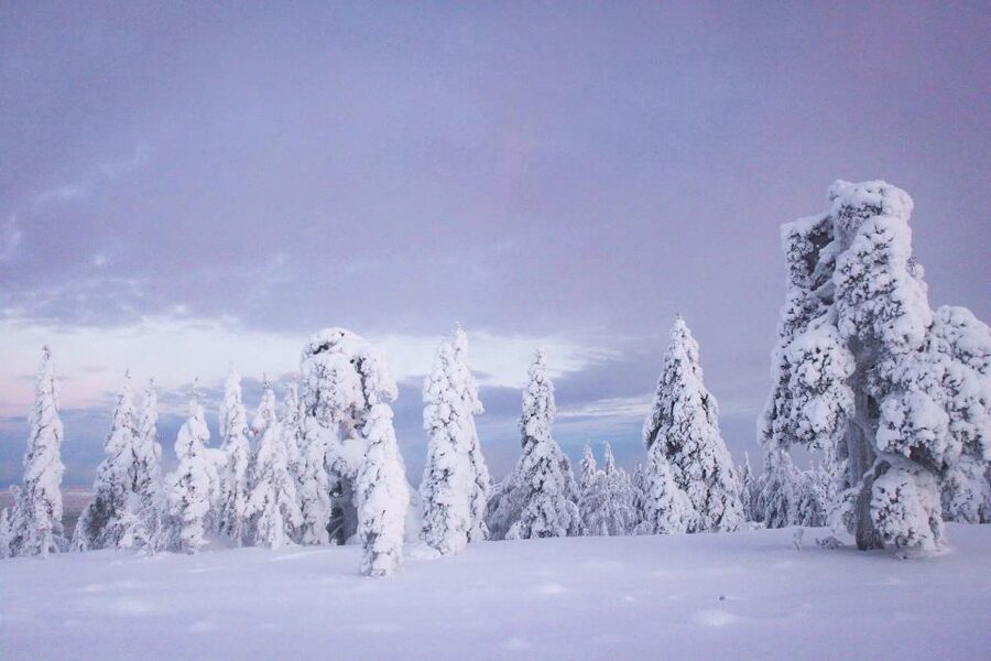 From Rovaniemi: Korouoma Canyon and Frozen Waterfalls Tour - Why Korouoma is worth the long ride