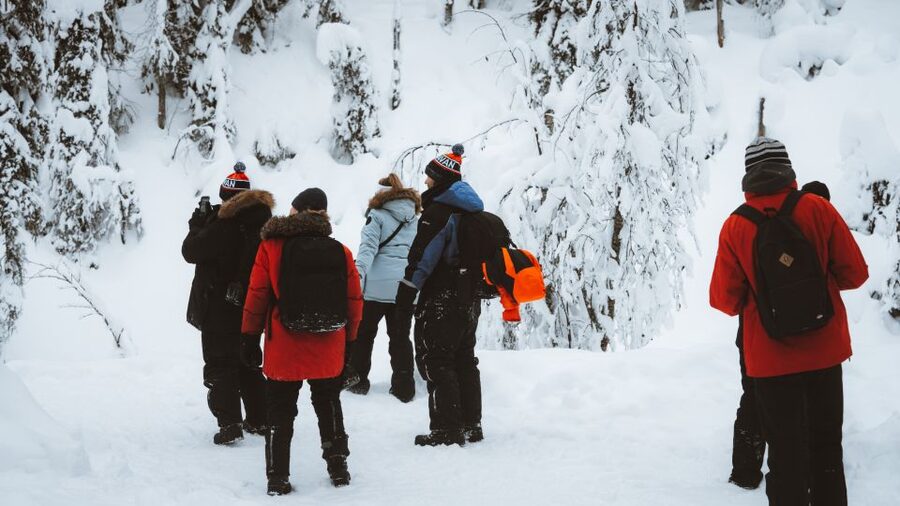 From Rovaniemi: Korouoma Canyon and Frozen Waterfalls Tour - Fire, sausage, and a warm break in the snow