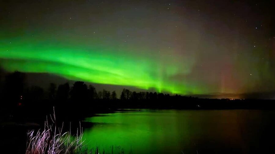 From Rovaniemi: Night Tour in Search of the Aurora with BBQ - Key points before you book