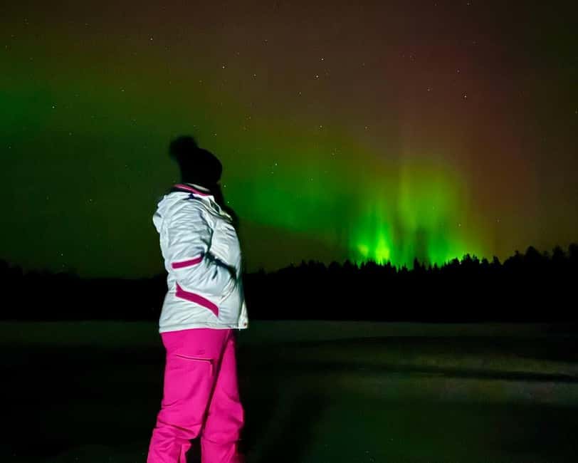 From Rovaniemi: Night Tour in Search of the Aurora with BBQ - Chasing the Aurora beyond Rovaniemi