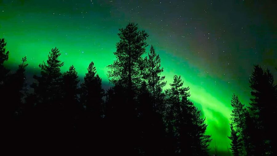 From Rovaniemi: Night Tour in Search of the Aurora with BBQ - Is $85 fair for three hours?
