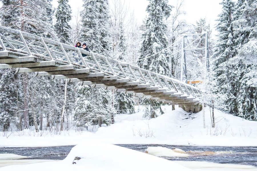 From Rovaniemi: Private Photoshoot in the Lappish Wilderness - What the one-hour itinerary really feels like