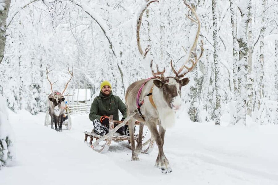 From Rovaniemi: Reindeer Farm Visit with Sleigh Ride - Reaching the farm from Rovaniemi