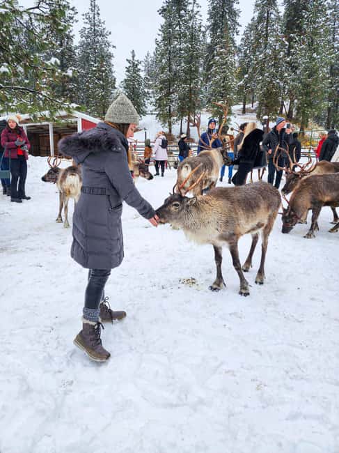 From Rovaniemi: Reindeer Farm Visit with Sleigh Ride - Inside the kota hut