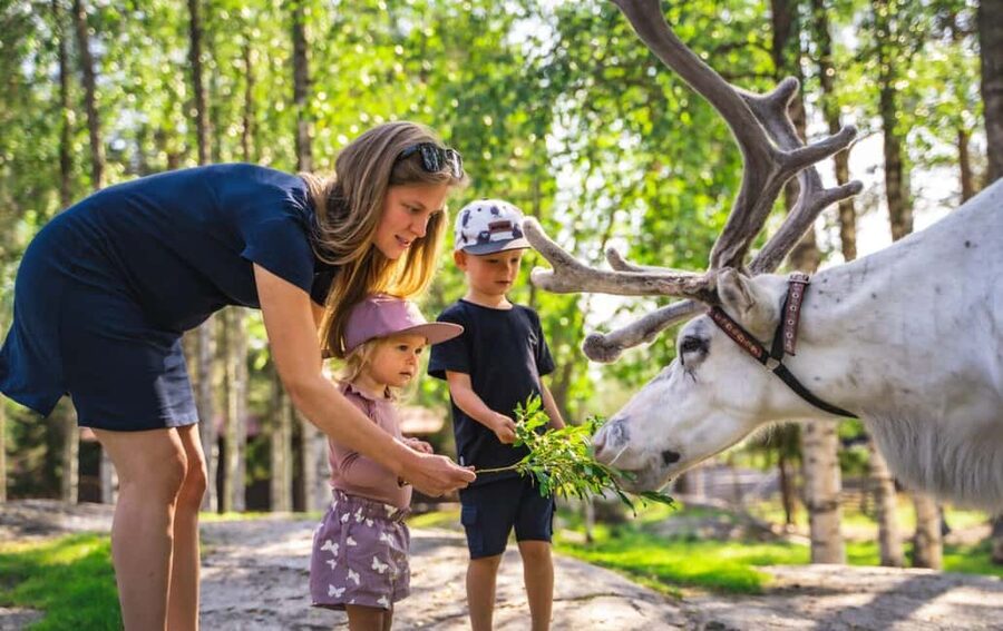 From Rovaniemi: Reindeer Farm Visit with Sleigh Ride - Animal welfare and setting your expectations