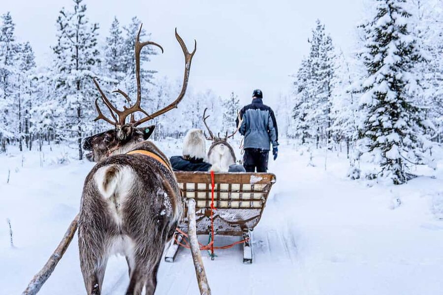 From Rovaniemi: Reindeer Farm Visit with Sleigh Ride - Who will enjoy this Rovaniemi farm visit