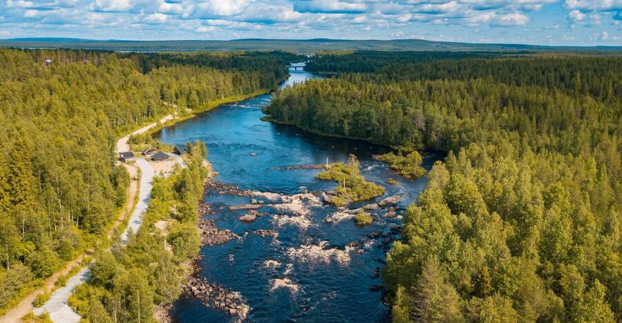 From Rovaniemi: Vikaköngäs Forest Hiking Tour - Key points to know before booking