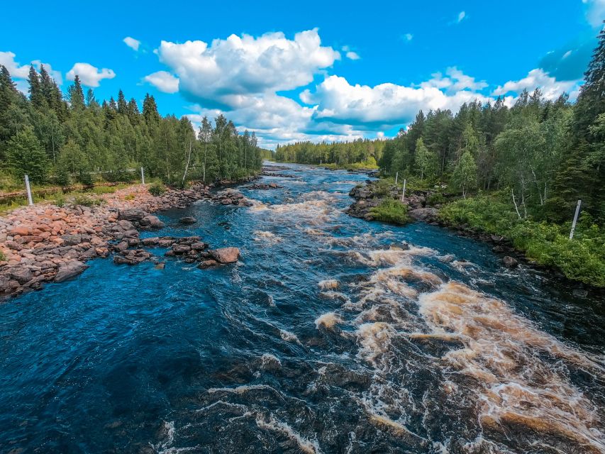 From Rovaniemi: Vikaköngäs Forest Hiking Tour - Crossing the wooden hanging bridge