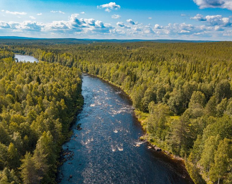 From Rovaniemi: Vikaköngäs Forest Hiking Tour - What the $123 price really covers
