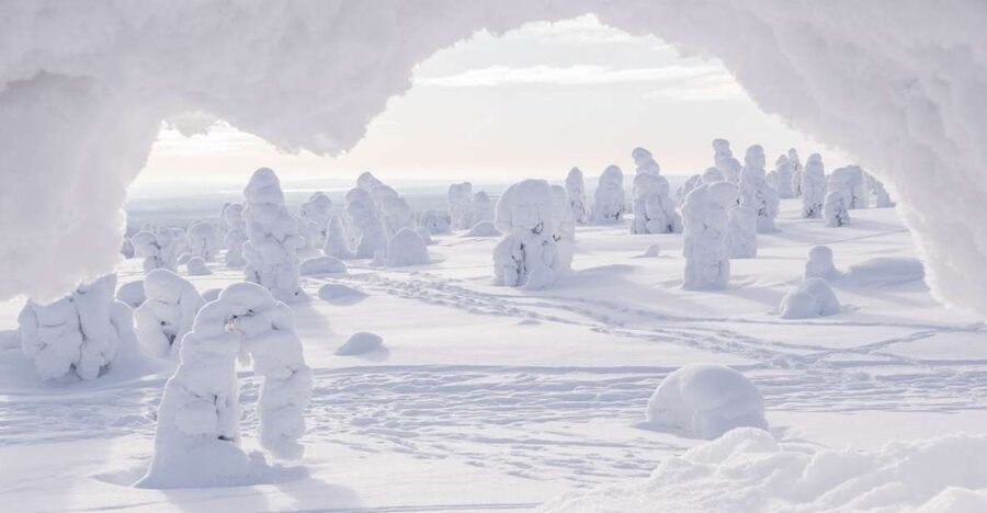 From Rovaniemi: Winter Wonderland Hike with a Hot Drink - Key points to know before you book