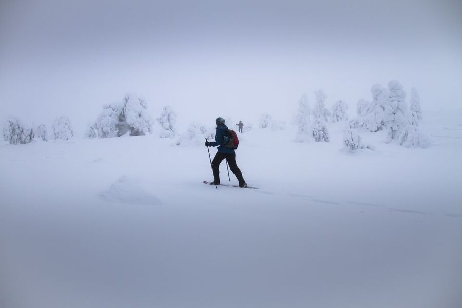 From Rovaniemi: Winter Wonderland Hike with a Hot Drink - Leaving Rovaniemi for the frozen north