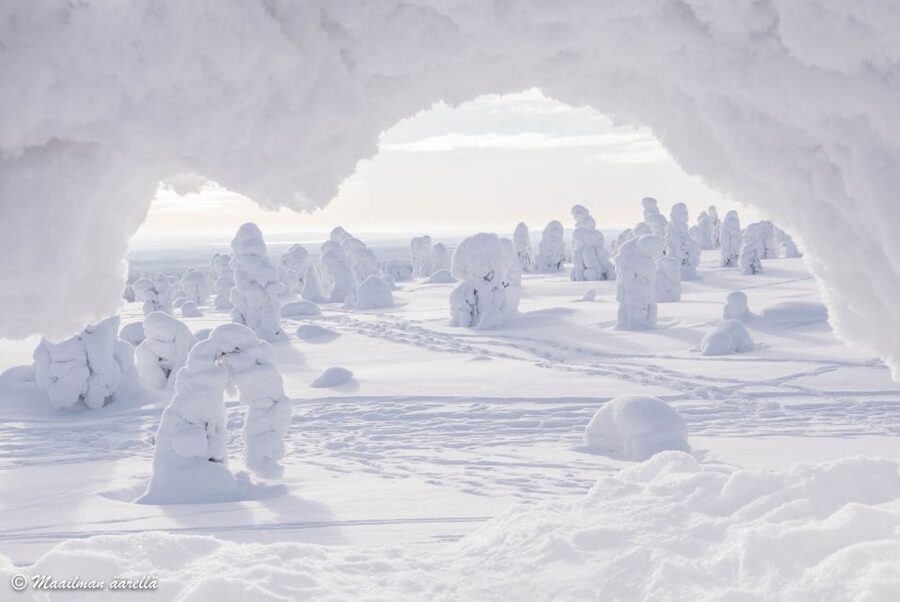 From Rovaniemi: Winter Wonderland Hike with a Hot Drink - Who will enjoy this winter hike most?