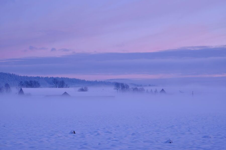 From Rovaniemi: Winter Wonderland Hike with a Hot Drink - Walking through a Lapland winter wonderland