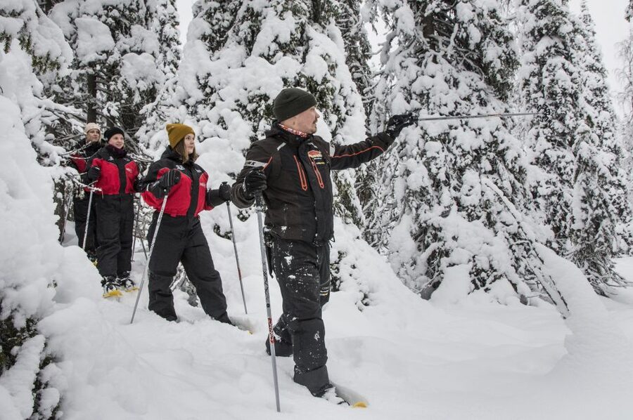 From Ruka: Snowshoeing in Oulanka National Park - Is $140 a fair price?