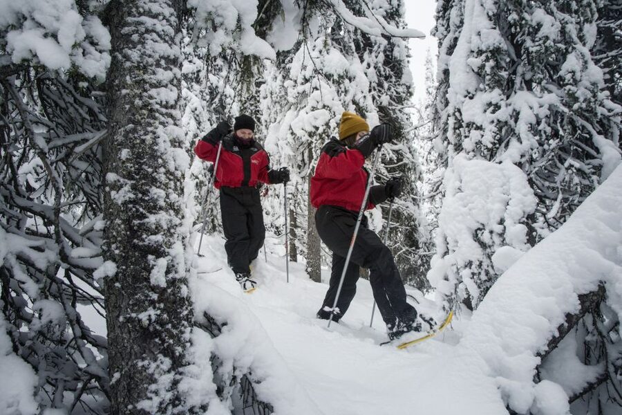 From Ruka: Snowshoeing in Oulanka National Park - Snowshoeing the Little Bear Trail beside the Kitka River