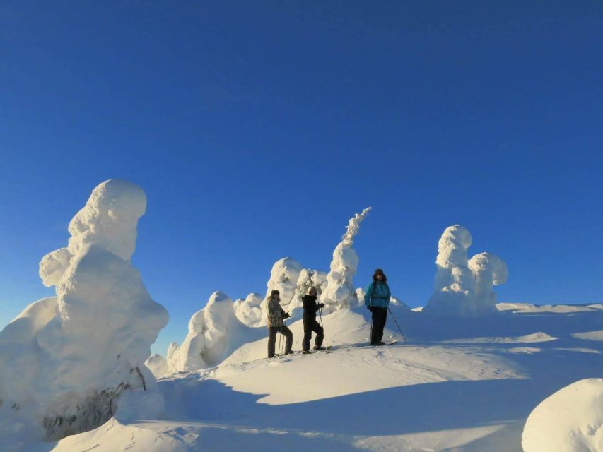 From Ruka: Snowshoeing in Riisitunturi National park - The 30-minute ride to the national park