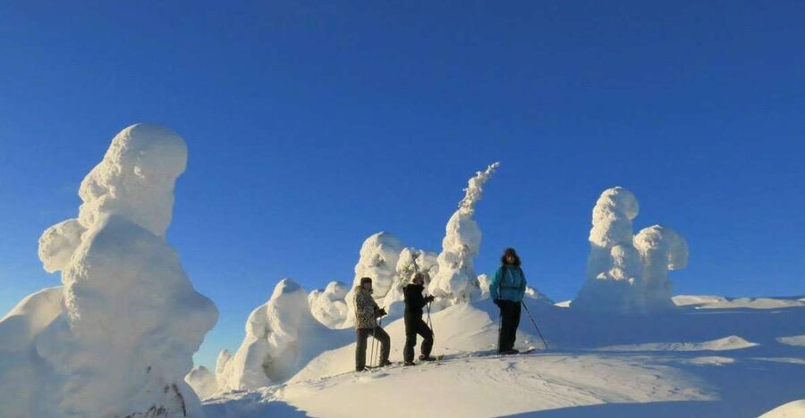 From Ruka: Snowshoeing in Riisitunturi National park - Meeting your guide and getting ready in Ruka