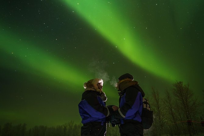 From Saariselkä: Northern lights tour to Lake Inari, incl. dinner - Meeting and feeding the reindeer