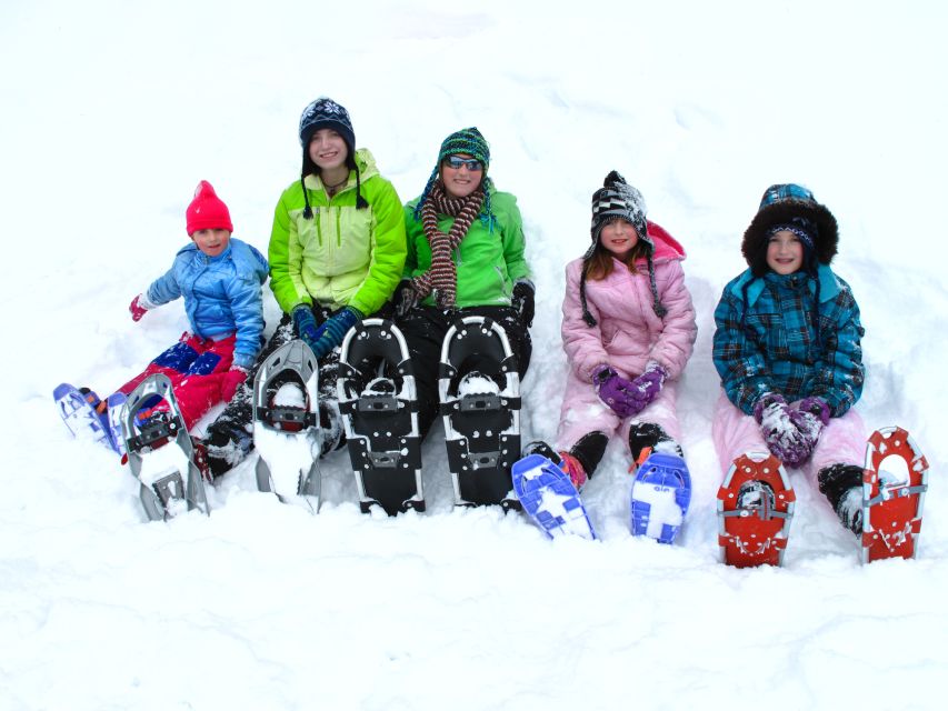 From Sirkka: Levi Summit Guided Nature Snowshoeing Tour - A quiet route above Levi