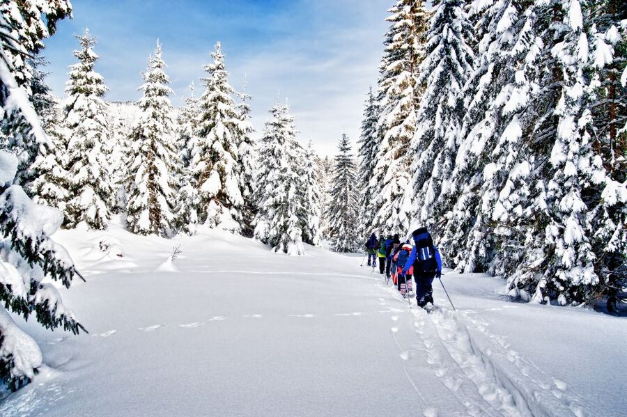 From Sirkka: Levi Summit Guided Nature Snowshoeing Tour - The climb and descent near Levi Summit