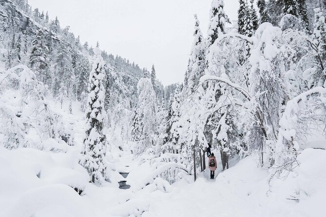 Frozen Waterfalls of Korouoma Canyon tour with Pro Photos & BBQ - Winter clothing and crampons make a major difference