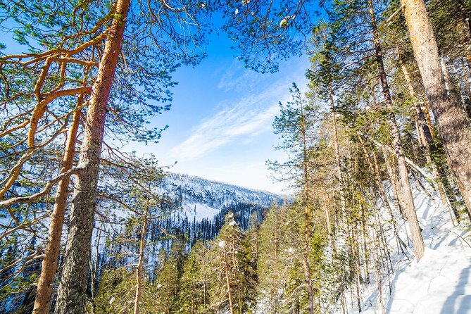 Frozen Waterfalls of Korouoma Canyon tour with Pro Photos & BBQ - BBQ lunch by the fire
