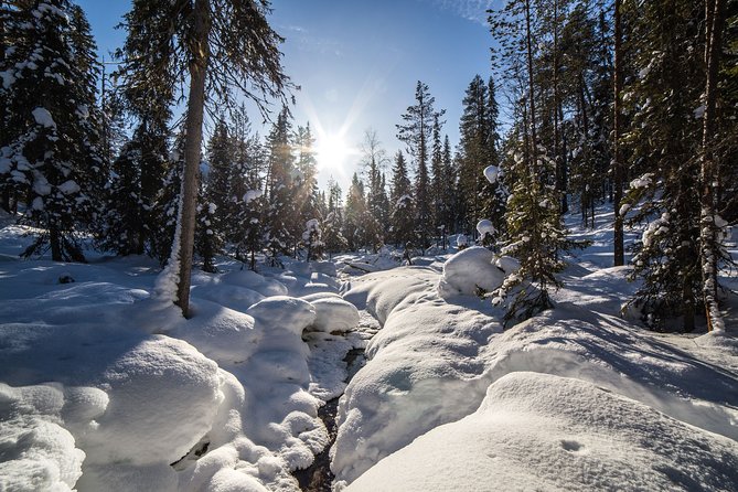 Frozen Waterfalls of Korouoma Canyon tour with Pro Photos & BBQ - Is $158.39 a fair price?