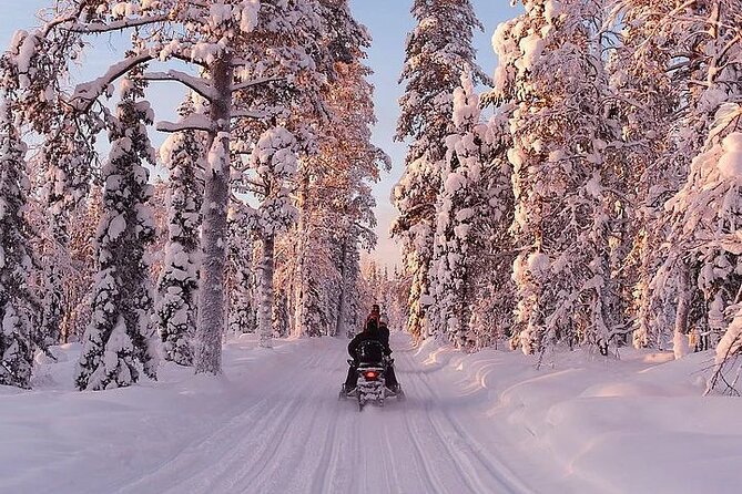 Full Day Snowmobile Safari - What the six-hour day really includes