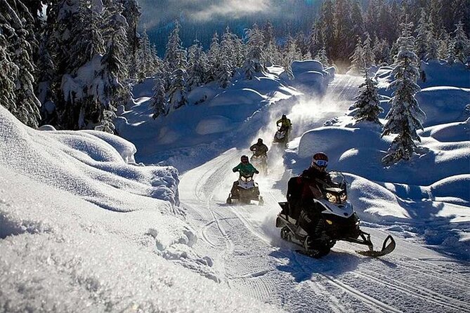 Full Day Snowmobile Safari - Children and family rules