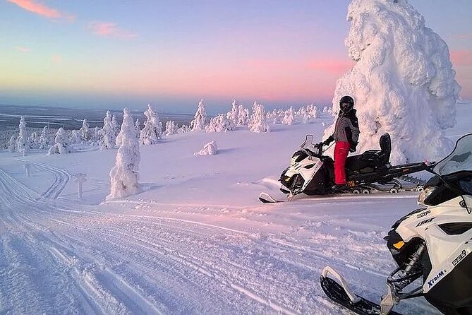 Full Day Snowmobile Safari - One machine, two adults