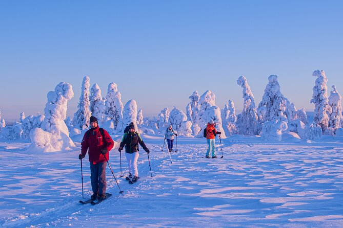Full-Day Snowshoeing Adventure in Amethyst Mine Pyhä Luosto - Is the $250.17 price fair?