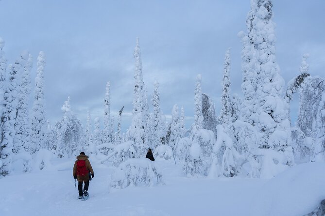 Full-Day Snowshoeing Adventure in Amethyst Mine Pyhä Luosto - Reaching the fells for the wide views