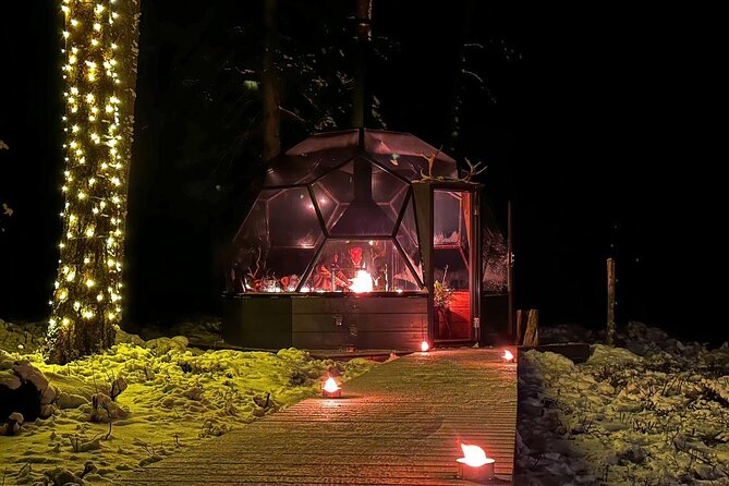 Glass Igloo Campfire Dinner under Northern Lights - Who should book this experience?