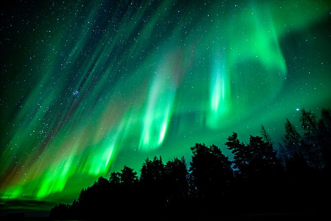 Guaranteed Northern Lights Hunting Adventure in Lapland - Is $238.85 a fair price?