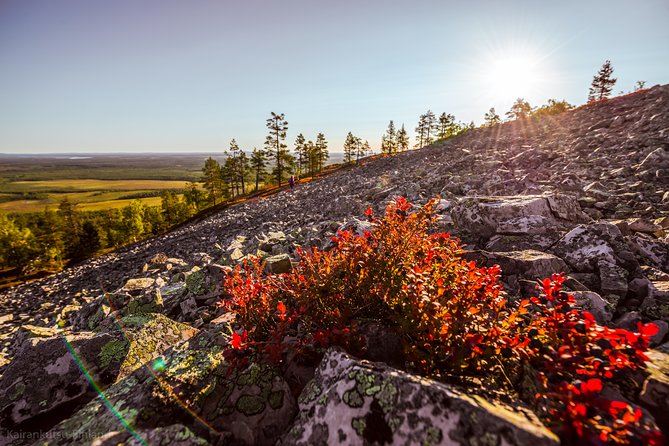 Guided easy hike in Finland deepest gorge in Pyhä-Luosto National Park - Why the Isokuru Ravine is the reason to go